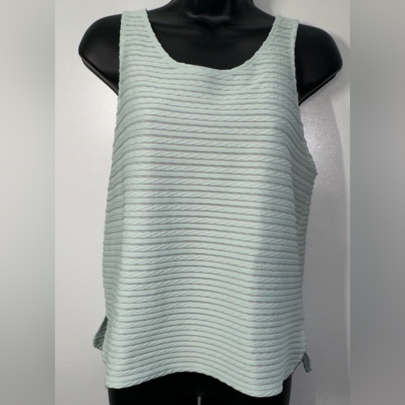 Express | NWOT Wide Sheer Sleeveless Blouse. Light horizontal stripes - Picture 13 of 16
